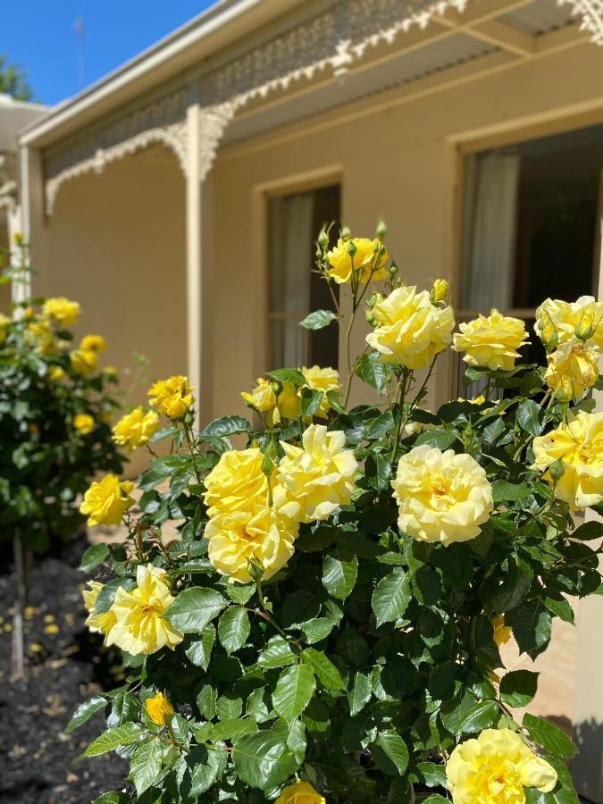 Acacia Terraces Aparthotel Echuca Εξωτερικό φωτογραφία